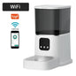 Smart Pet Feeder with Camera, Voice Recorder, and 6L Capacity