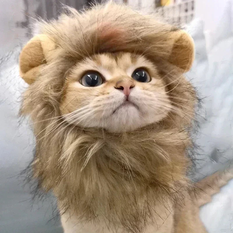 Professional Pet Lion Mane Cosplay Wig Costume for Cats