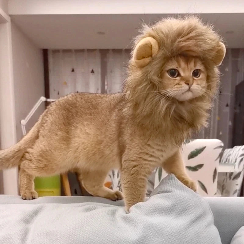 Professional Pet Lion Mane Cosplay Wig Costume for Cats