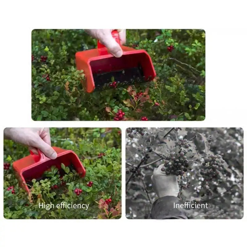 Portable Metal Fruit Picker Blueberry Collection Harvester Rake for Blackberries Cherry Picking Scope Outdoor Garden Tools