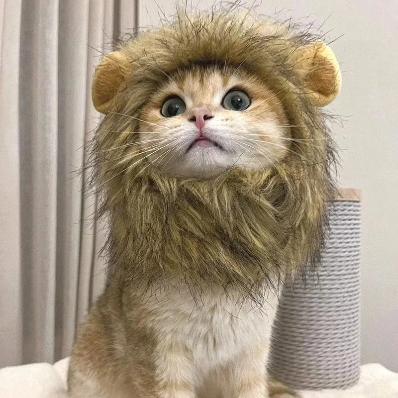 Professional Pet Lion Mane Cosplay Wig Costume for Cats