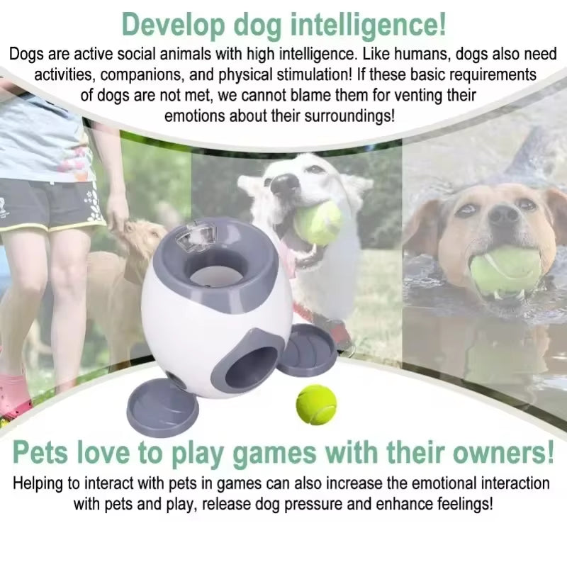 Interactive Automatic Ball Launcher for Medium Dogs - Smart Training Toy