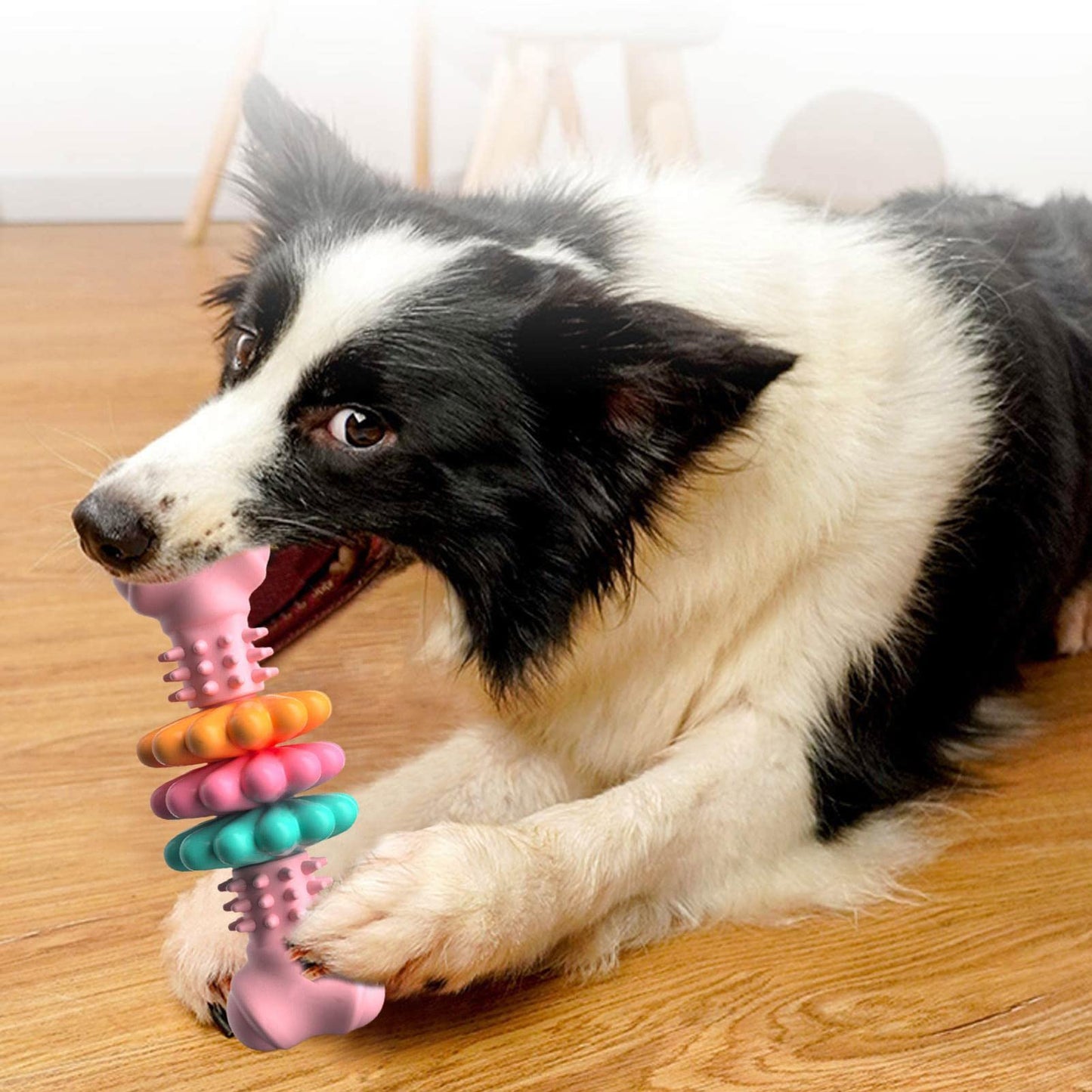 Dog Chew Toy Dog Bone Type Dogs Teeth Cleaning Toys Indestructible TPR Bone Chewing Bite Resistant Teething Toys Pet Products