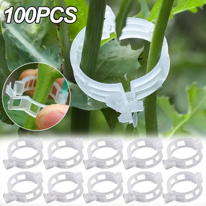 Plant Support Clips Reusable Garden Clips for Support Tomato Grape Vines Fruits Vegetable Plants Grafting Fixing Garden Tools