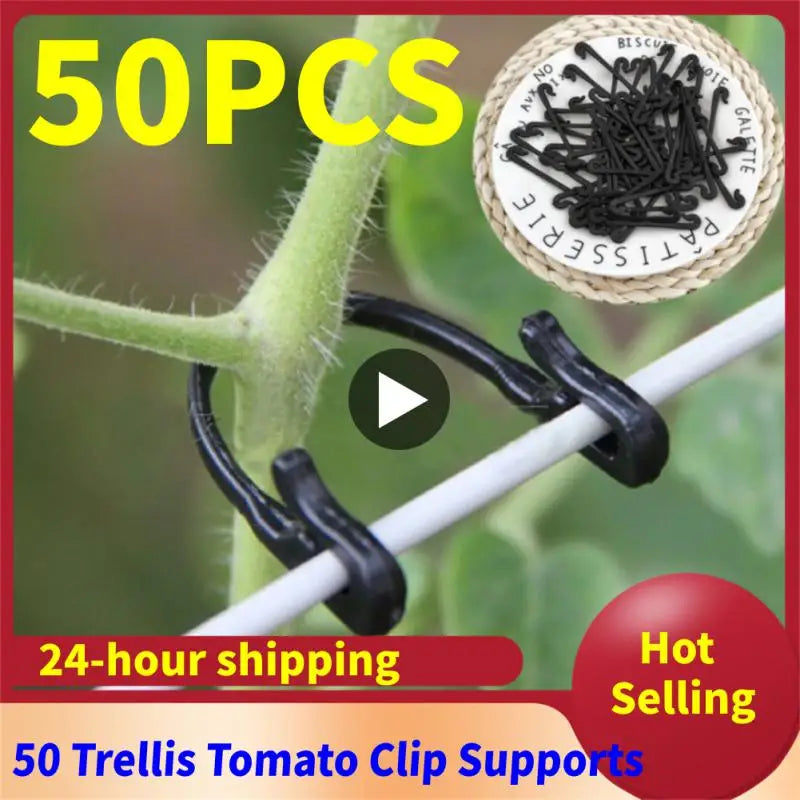 Plastic Plant Support Clips Reusable Vegetable Tomato Vines Protection Plant Clips Holder Grafting Fixing Tools Garden Supplies